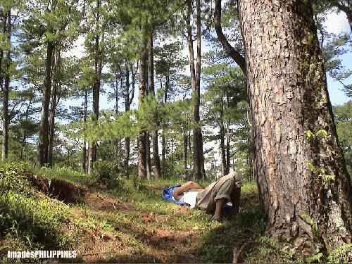 "Man Resting", 
Place: Baguio City take on 
Date Taken: 2004