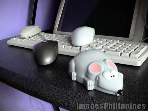 "Can Anyone Tell Me Which is the Real Mouse", 
Place Taken: Benguet take on 
Date Taken: 2005