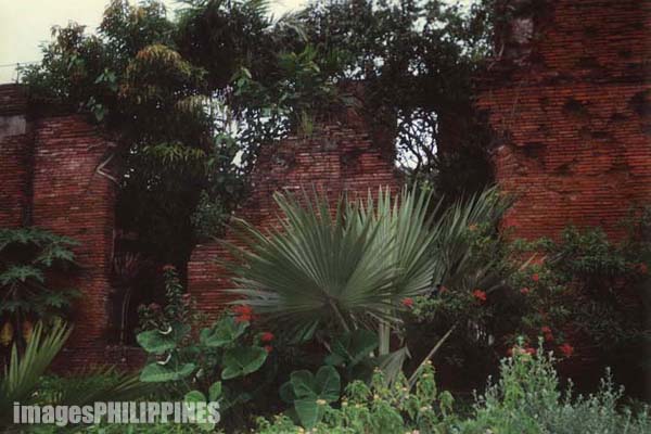 "Father Blanco's Garden", 
Place Taken: Metro Manila take on 
Date Taken: 1999