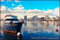 "Manila by Sunset",
Photographer/Artist: Edwin Villegas,
Date Taken: January 10, 2011,
Place Taken: Metro Manila