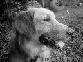 "Hashim",
Photographer/Artist: Kitsie Torres,
Date Taken: February 8, 2005