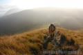 "Mount Pulag 0483"