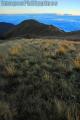 "Mt. Pulag Grassland",
Photographer/Artist: Rene Salta,
Date Taken: 2009,
Place Taken: Benguet