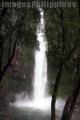 "Katibawasan Falls"