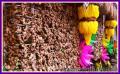 "Pahiyas 2006: Ginger or 'Luya' Decor",
Photographer/Artist: Willy Lorenzana,
Date Taken: May 15,2006,
Place Taken: Lucban, Quezon