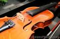"Violin"