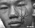"Spiderboy" ,
Photographer/Artist: Art Tibaldo,
Date Taken: 1984,
Place Taken: Baguio City