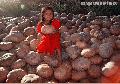 "Lumad Girl and Squash",
Photographer/Artist: Nestor Santiago ,
Date Taken: 2004,
Place Taken: Malaybalay,Bukidnon