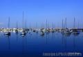 "The Yachts",
Photographer/Artist: Edwin Villegas,
Date Taken: March 14, 2010,
Place Taken: Metro Manila