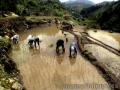 "Tupingao Farm (2)",
Photographer/Artist: Art Tibaldo,
Date Taken: 2003,
Place Taken: Benguet