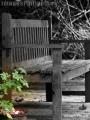 "Lonely Chair",
Photographer/Artist: Edwin Villegas,
Date Taken: January 16, 2010,
Place Taken: Cavite