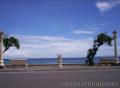 "Rizal Boulevard",,
Photographer/Artist: Irene Garvilles,,
Date Taken: 2010,,
Place Taken: Negros Oriental,,
						