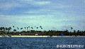 �Station Two, Boracay�,
Photographer/Artist: Rosemarie L. Portugal,
Date Taken: 2000