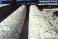 �Molo Church�,
Photographer/Artist: Ricky Punzalan,
Date Taken: 2002,
Place Taken: Iloilo
