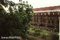 "Father Blanco's Garden",
Photographer/Artist: Ricky Punzalan,
Date Taken: 1999,
Place Taken: Metro Manila