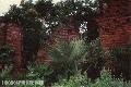 "Father Blanco's Garden",
Photographer/Artist: Ricky Punzalan,
Date Taken: 1999,
Place Taken: Metro Manila