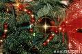 "Christmas Tree",
Photographer/Artist: Joel Abelida,
Date Taken: 2000,
Place Taken: Metro Manila