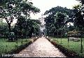 "UST Walkway",
Photographer/Artist: Joel Abelida,
Date Taken: 2002,
Place Taken: Metro Manila